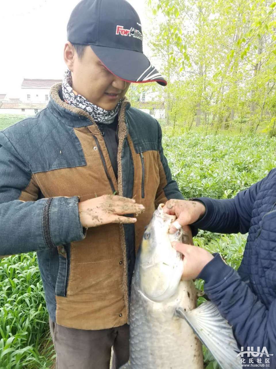 龙纹鲤休闲一代钓鱼实战,龙纹鲤休闲版水库实战中鱼瞬间