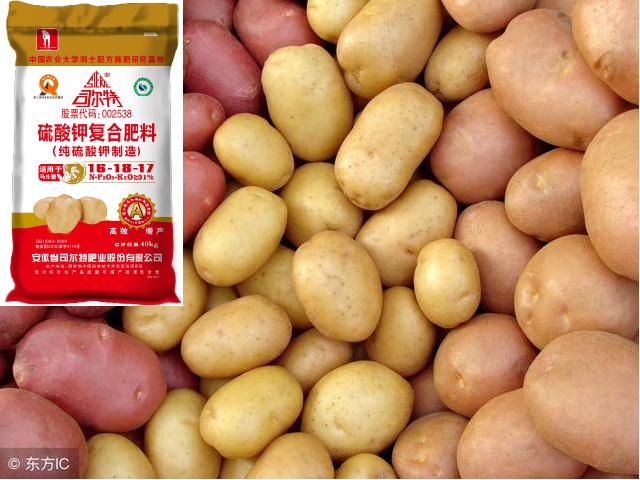 土豆行情为什么下降,土豆价格上涨销量不降的原因