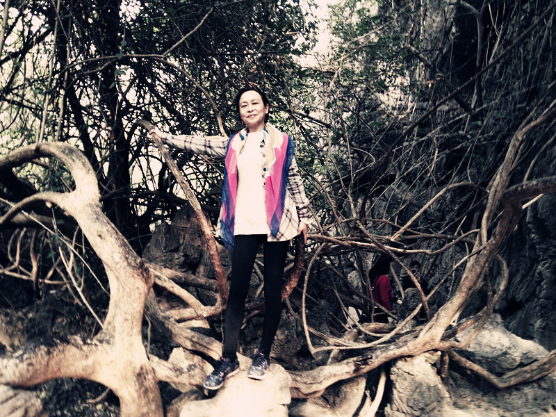 黄果树壮丽加天星桥精致繁复再加上陡坡塘的清雅成就完美布局