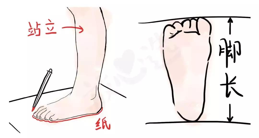 儿童机能鞋什么意思,儿童机能鞋的原理