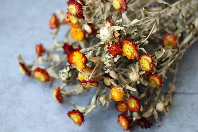 永生花制作方法视频直播,永生花插花制作方法