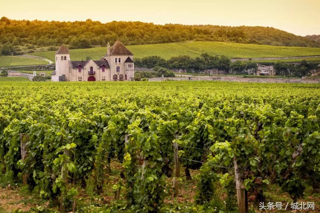 在世界各地拥有一座自己的酒庄，到底要多少钱？