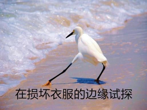 怎么样洗衣服不会让衣服起球,高档丝绸衣服怎么洗涤