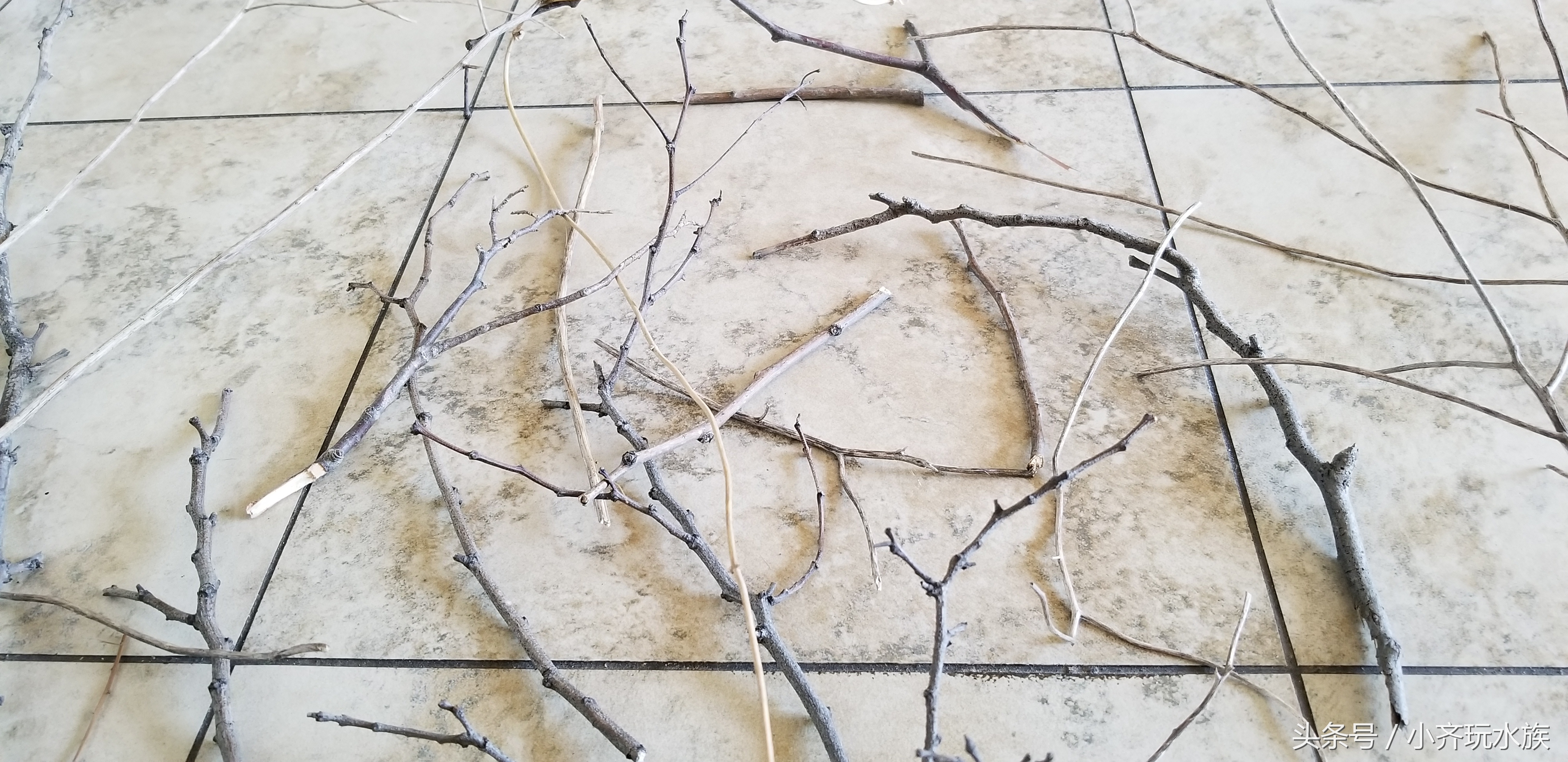 120厘米原生缸开缸教程,简单原生缸开缸新手