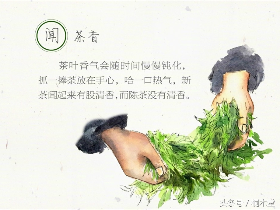 一张图读懂各种茶具,一张品茶实用图