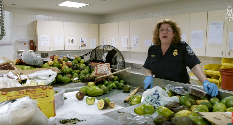 国外东西被海关扣了怎么办,国外进口零食被海关查获