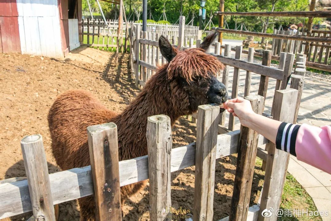 五一3天2夜南京周边旅游,自驾游南京游玩攻略两日游带小孩