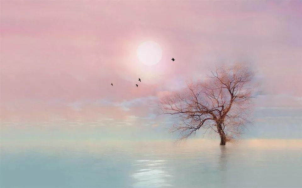 罗志渊：将“反三俗”坚持到底