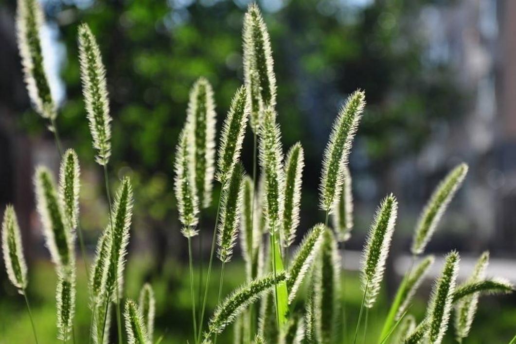 长得丑的励志句子,长得丑的句子经典语录