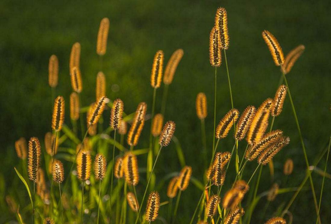长得丑的励志句子,长得丑的句子经典语录