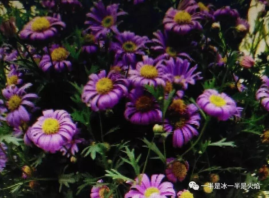 三月三：我有一片阳光，可暖四季薄凉