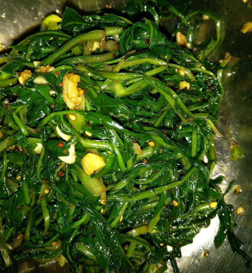 婆婆丁是蒲公英的别名,婆婆丁的学名是蒲公英吗