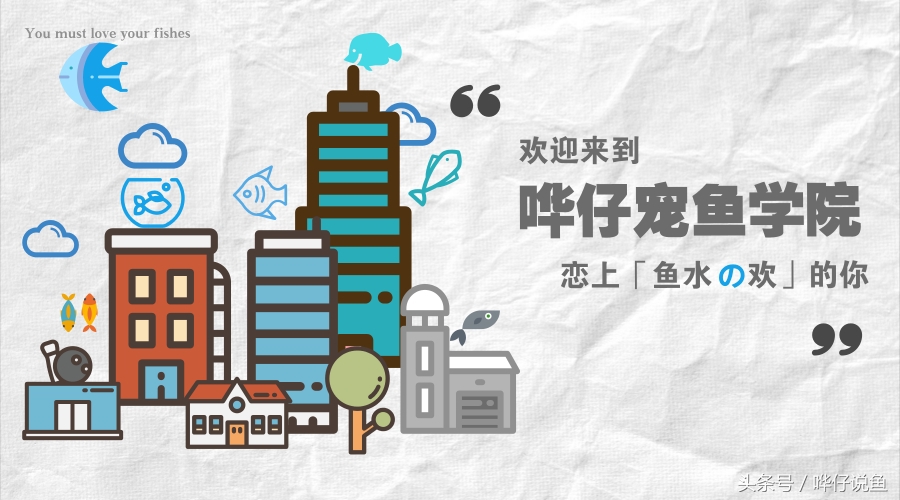 鱼缸里的三大贱客,鱼缸三大流氓鱼