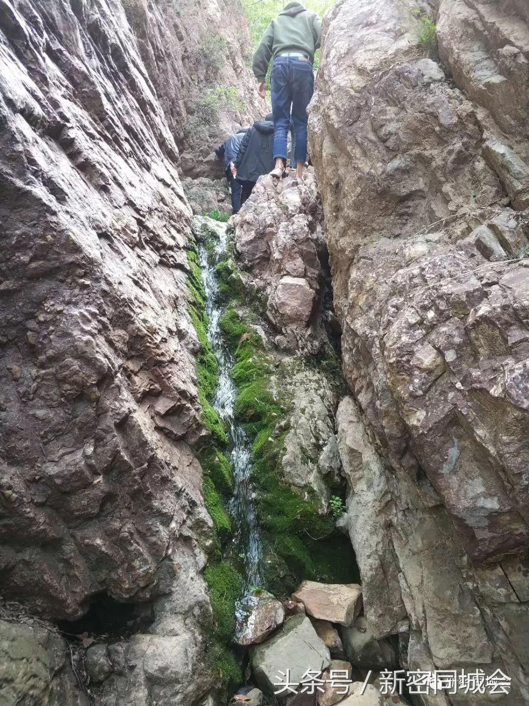 新密市九里山风景区摘槐花,新密超化九里山槐花林