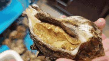 你与美食之间只有一堵墙的距离,你与海鲜的距离只差一个早市