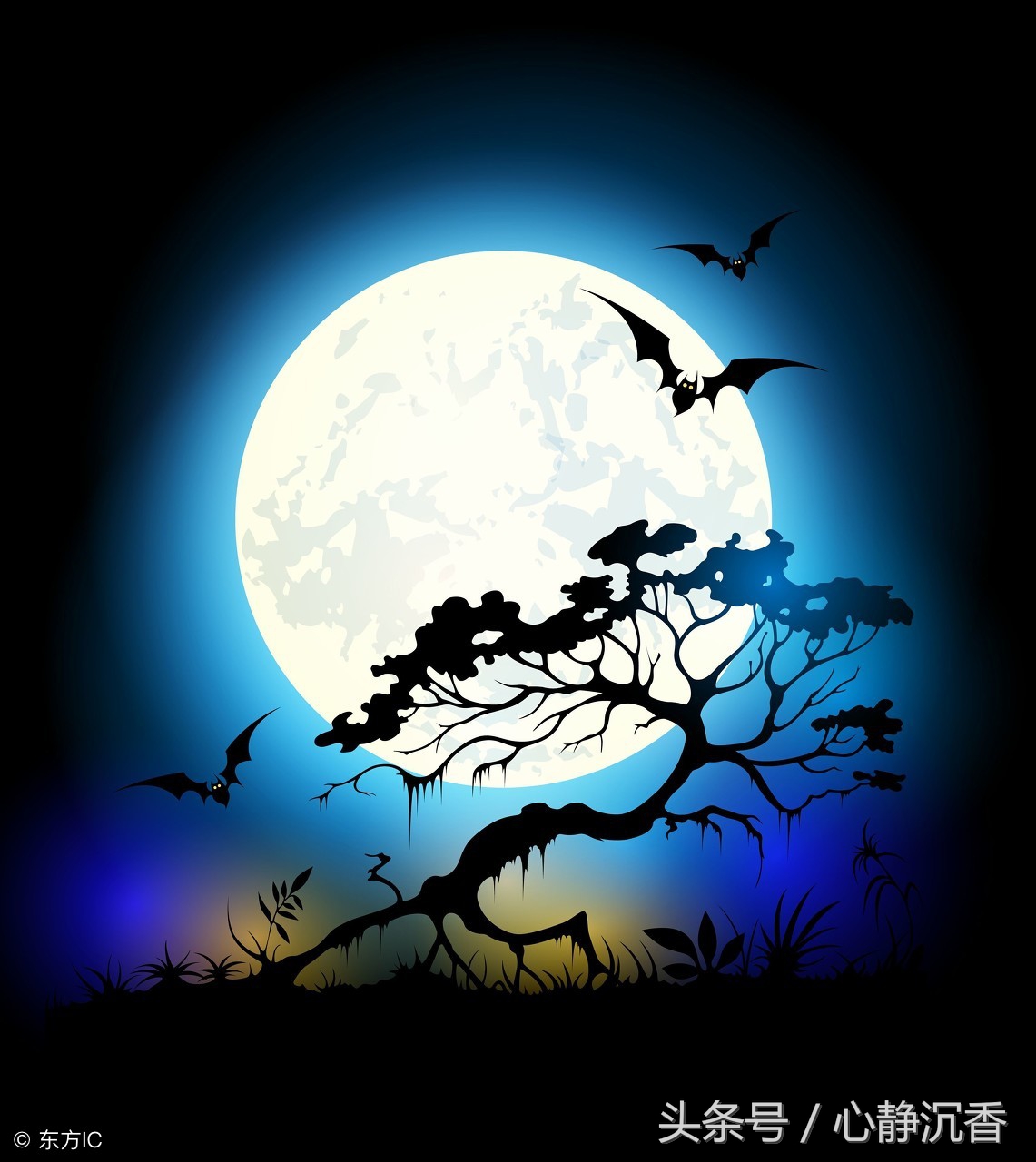 岑志祥,为季节而歌岑志祥