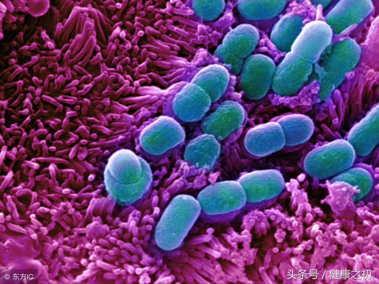 剖腹产以后有点哮喘怎么回事,剖腹产的孩子容易肺炎吗