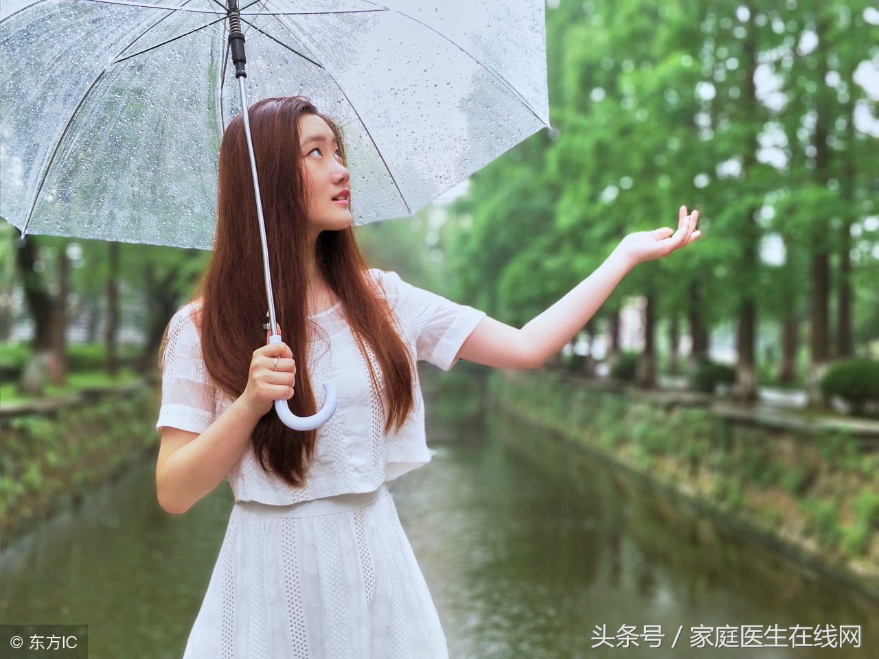 中医除湿气的中药,中医除湿气最好处方