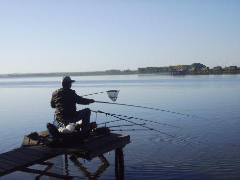 哈尔滨野狼湖,为东北最大的内陆平原湖,是野生狼栖息的天然场所