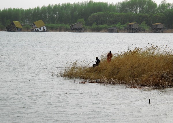 野生狼最多的地方去哪,哈尔滨野狼湖露营