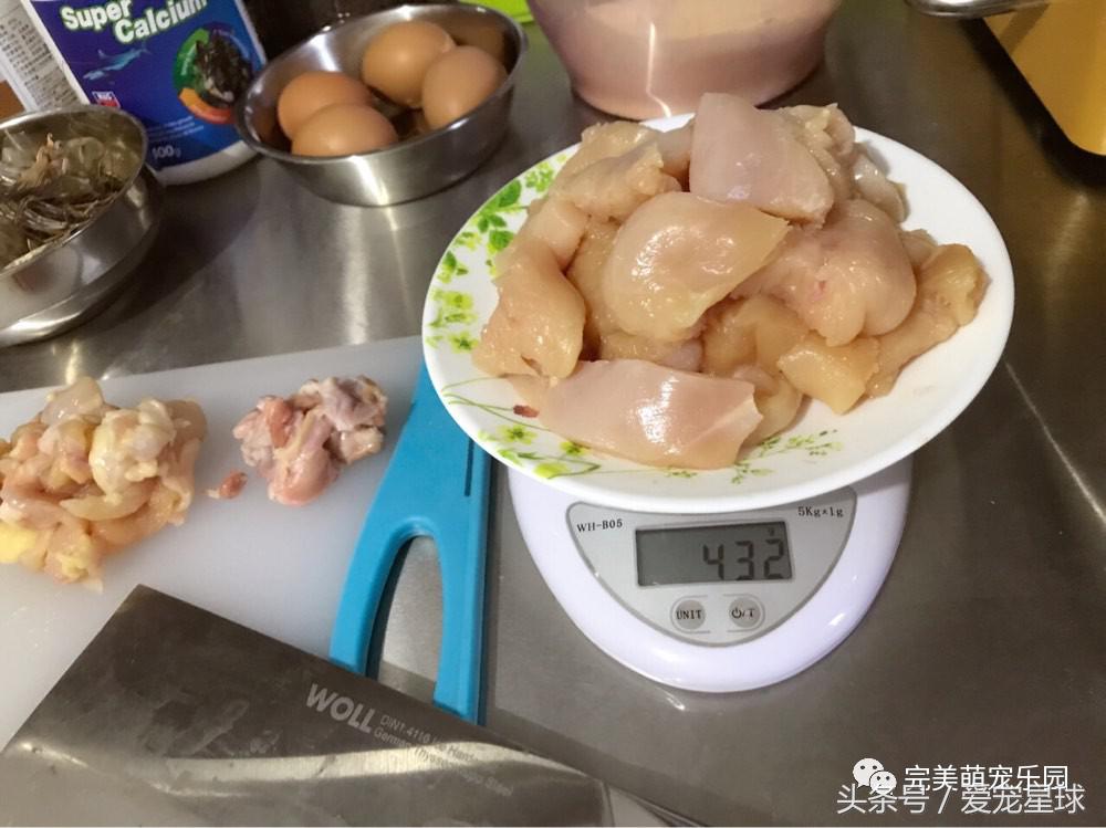 幼犬狗粮自制狗粮教程,怎么给狗自制狗粮器