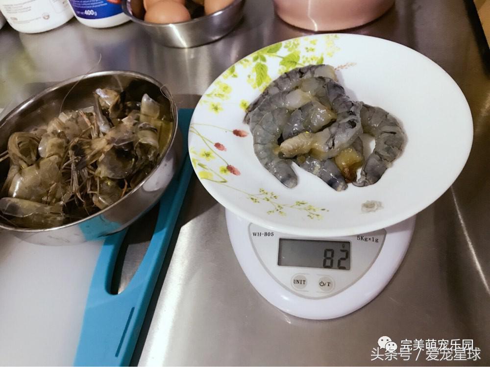 幼犬狗粮自制狗粮教程,怎么给狗自制狗粮器