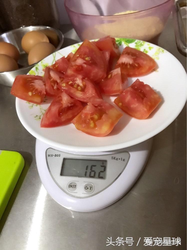 幼犬狗粮自制狗粮教程,怎么给狗自制狗粮器