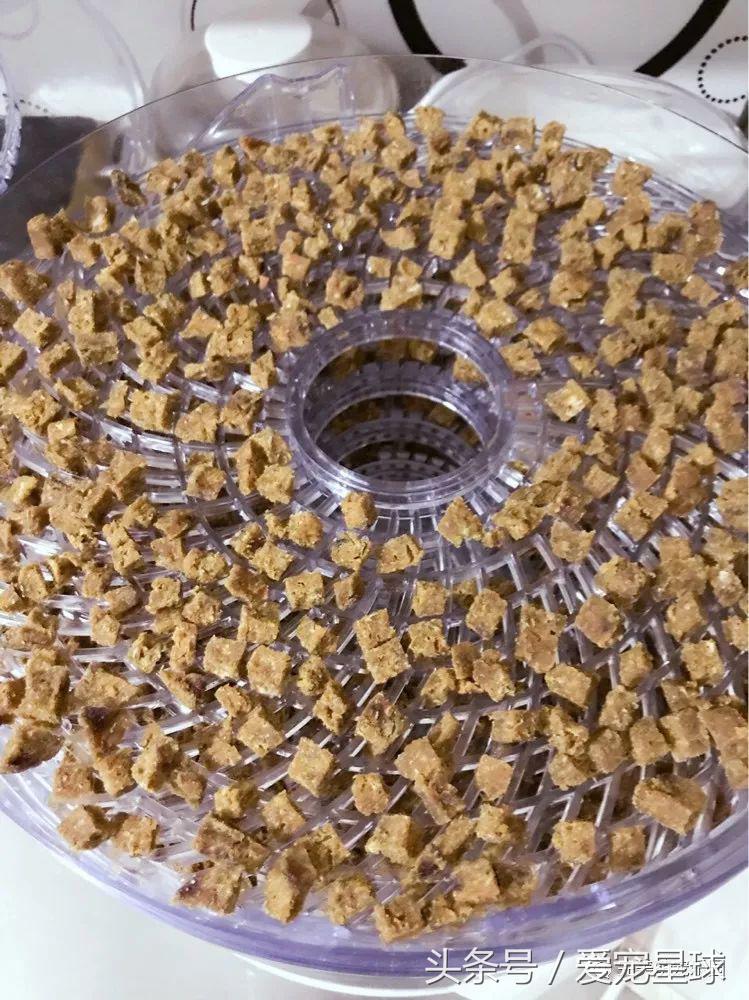 幼犬狗粮自制狗粮教程,怎么给狗自制狗粮器