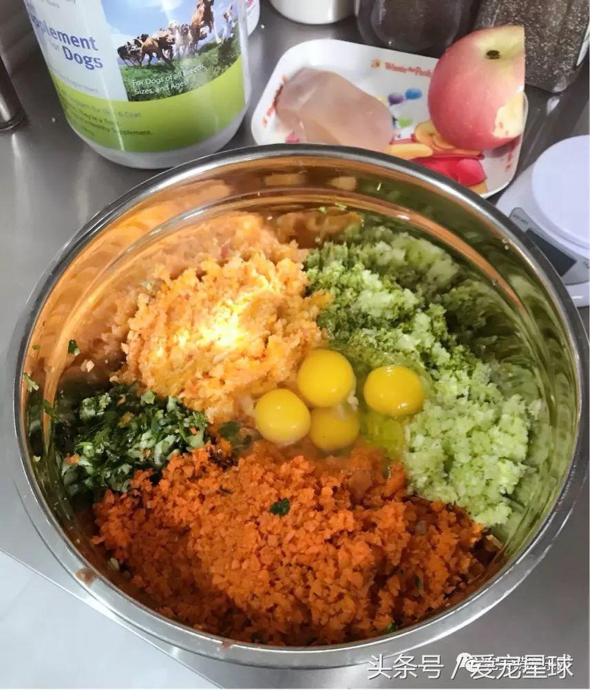 幼犬狗粮自制狗粮教程,怎么给狗自制狗粮器