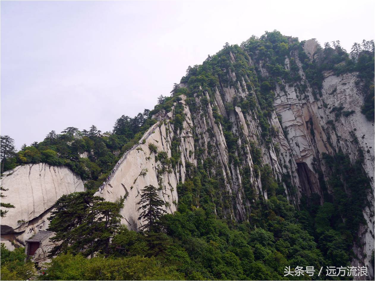 登上华山感悟,登华山之巅显勇者风范