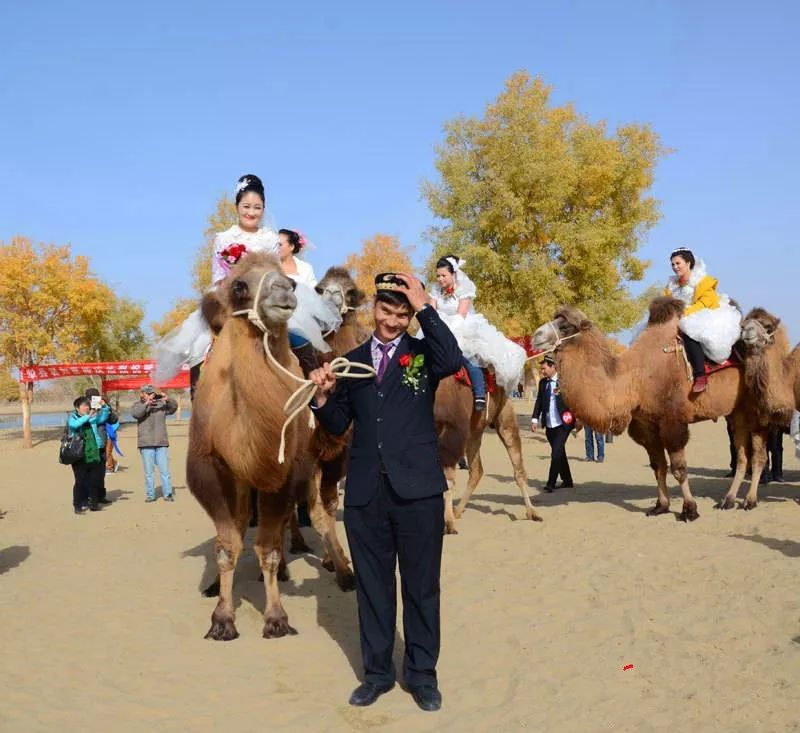 这样的*疆新**人，怎么能不可爱呢！