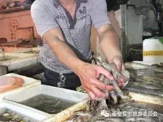 秦皇岛海鲜批发市场哪里最便宜,秦皇岛冬季海鲜去哪买最便宜