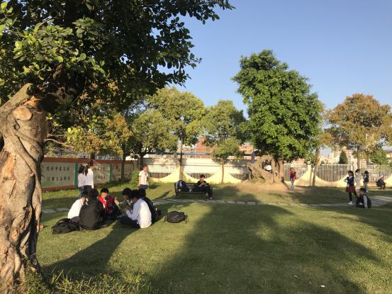 不要只看国外的基础设施，看看我国的小学厉害不厉害！