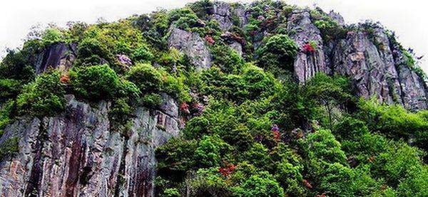 浙江余姚市梁弄镇,美丽浙江