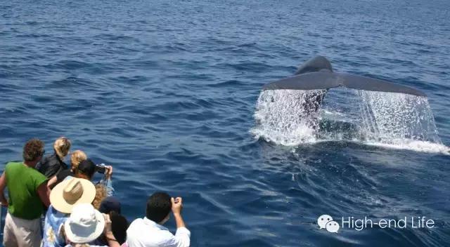 冲绳游玩,冲绳游玩攻略视频