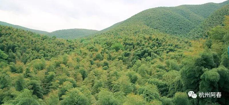 神游世外桃源完整视频,神游仙居景区