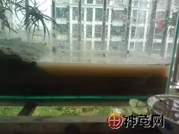 确认过眼神是可以保护你的人,确认过眼神可以靠近吗