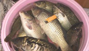 广西南宁钓鱼钓点,广西最新钓鱼技巧