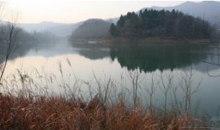 广西南宁钓鱼钓点,广西最新钓鱼技巧