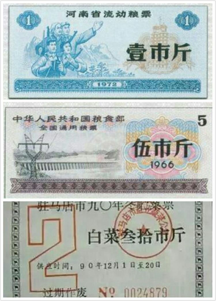 收藏的乐趣在哪里,收藏的乐趣优秀作文