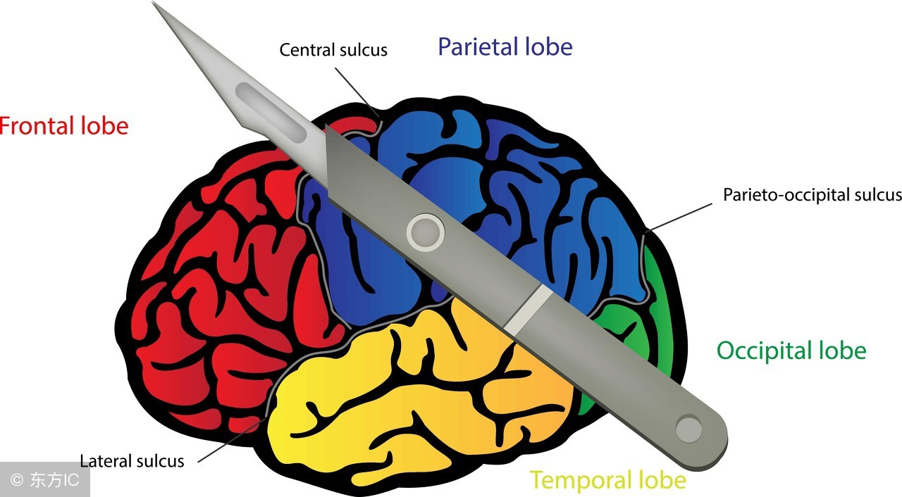 身边好医生许典双：“拆弹工匠”让脑瘤患者也有高质量生活