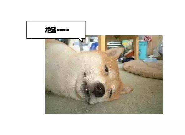 两“傻帽”的“发家”历程