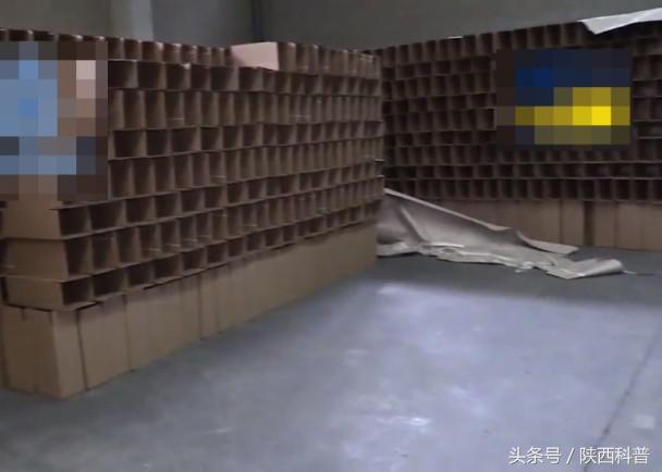 海关查获17万罐无手续新西兰奶粉,新西兰奶粉造假案