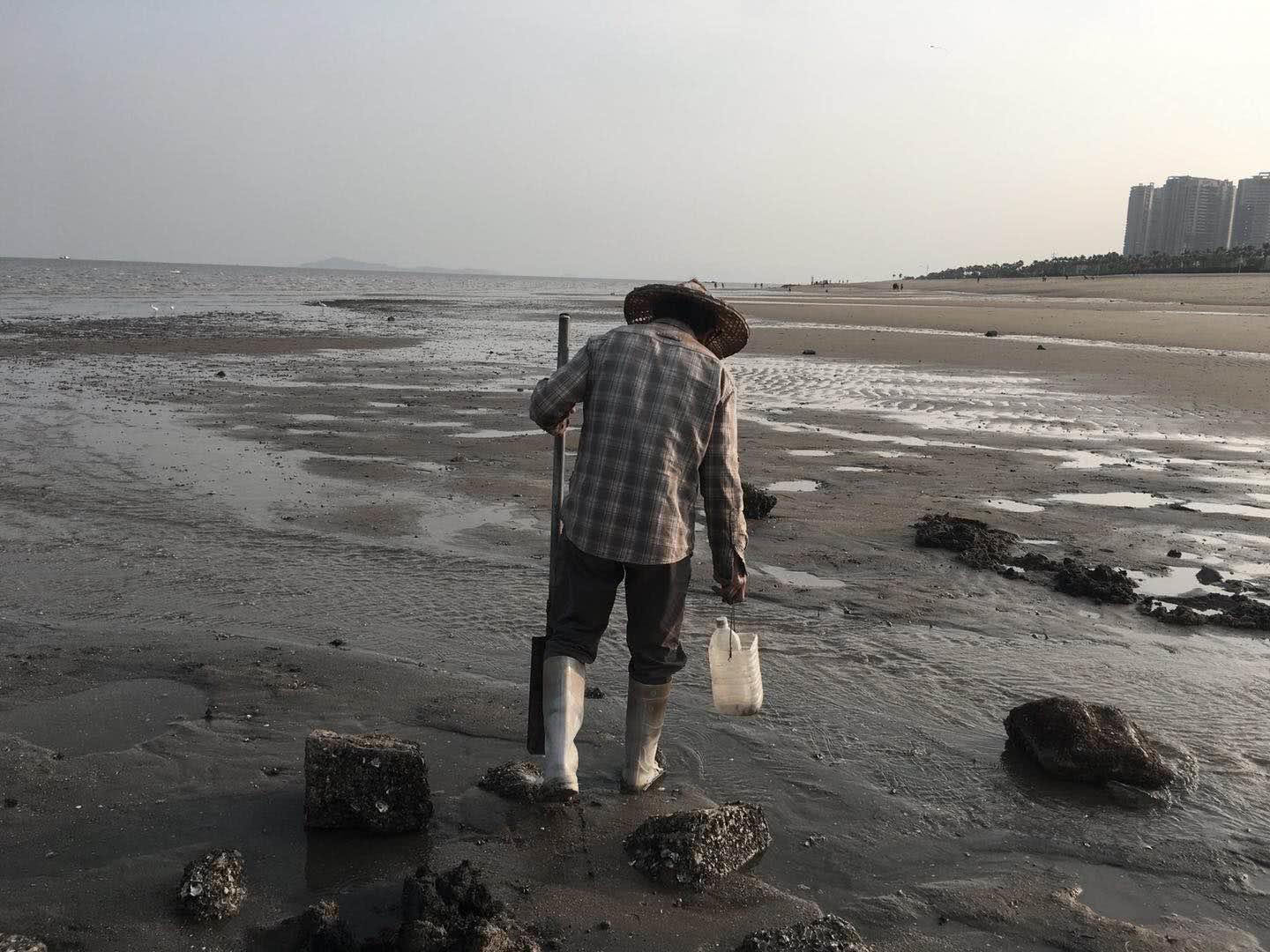 老人在厦门海边挖出虫子，游客作呕称自己刚吃过，怎么回事？