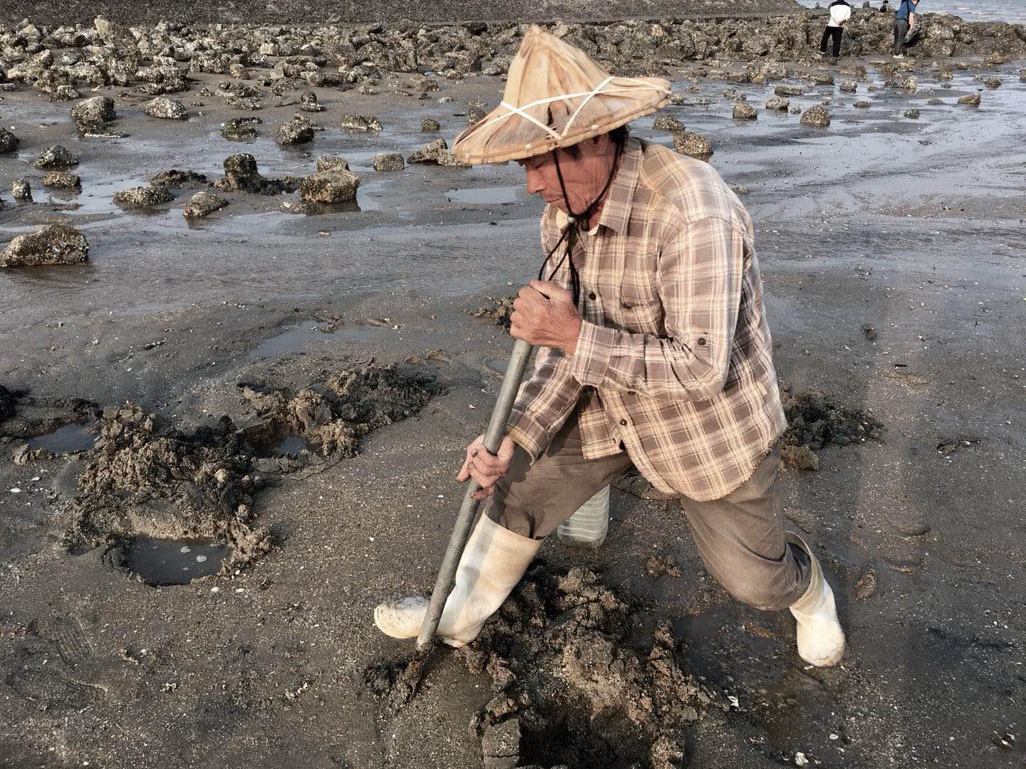 老人在厦门海边挖出虫子，游客作呕称自己刚吃过，怎么回事？