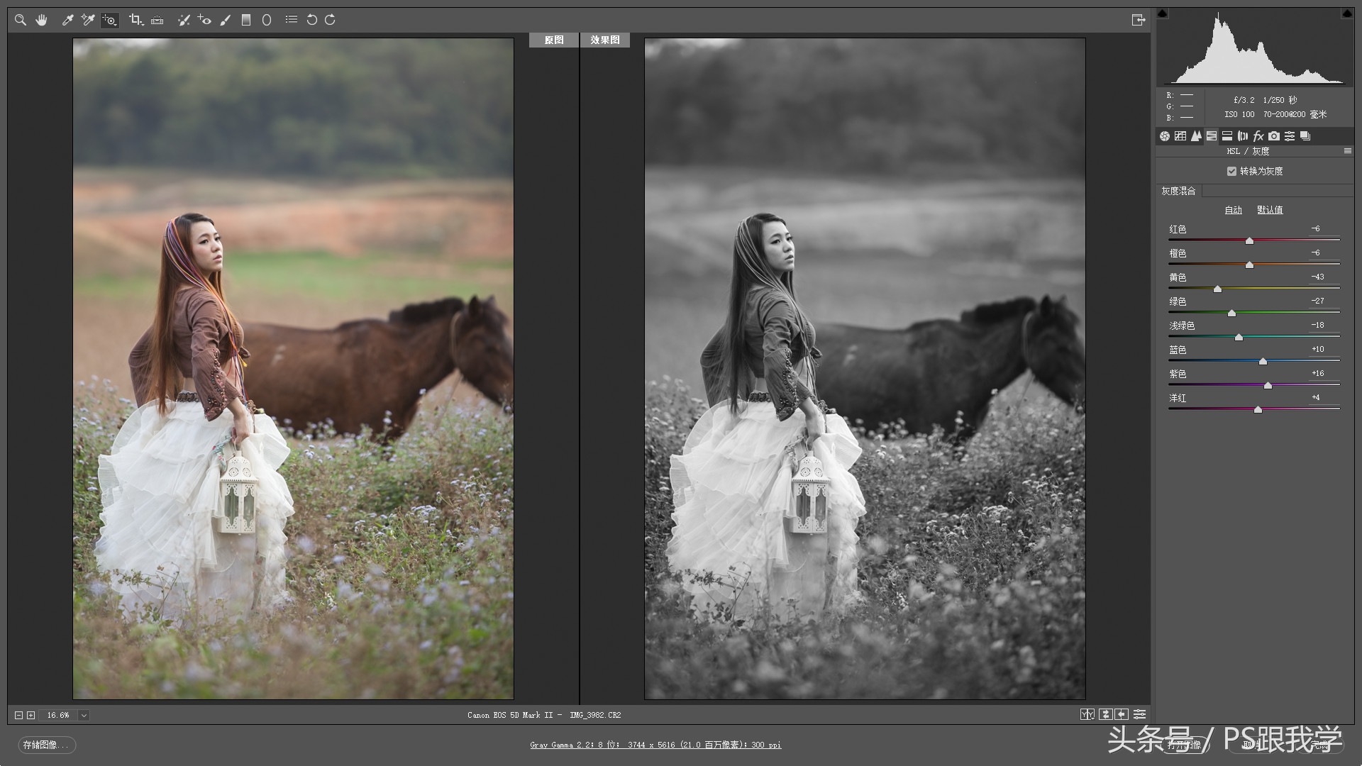 adobecameraraw工具怎么添加,cameraraw首选项怎么设置