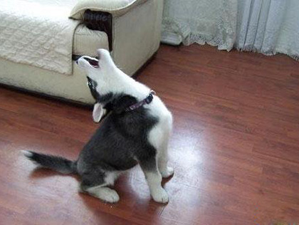 涂磊毁三观的毒鸡汤原视频,那些震碎你三观的毒鸡汤