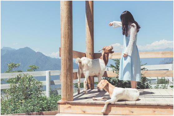 成都浮云牧场攻略,浮云牧场有什么好玩的地方