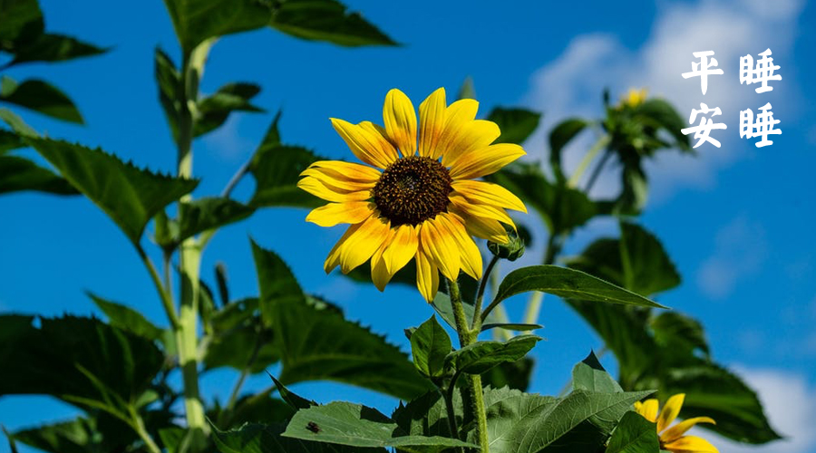 梁冬人生最好的状态,梁冬说感情