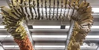 皮革的基础常识,皮革是怎么生产的